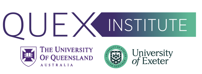 A branded logo for the QUEX Institute