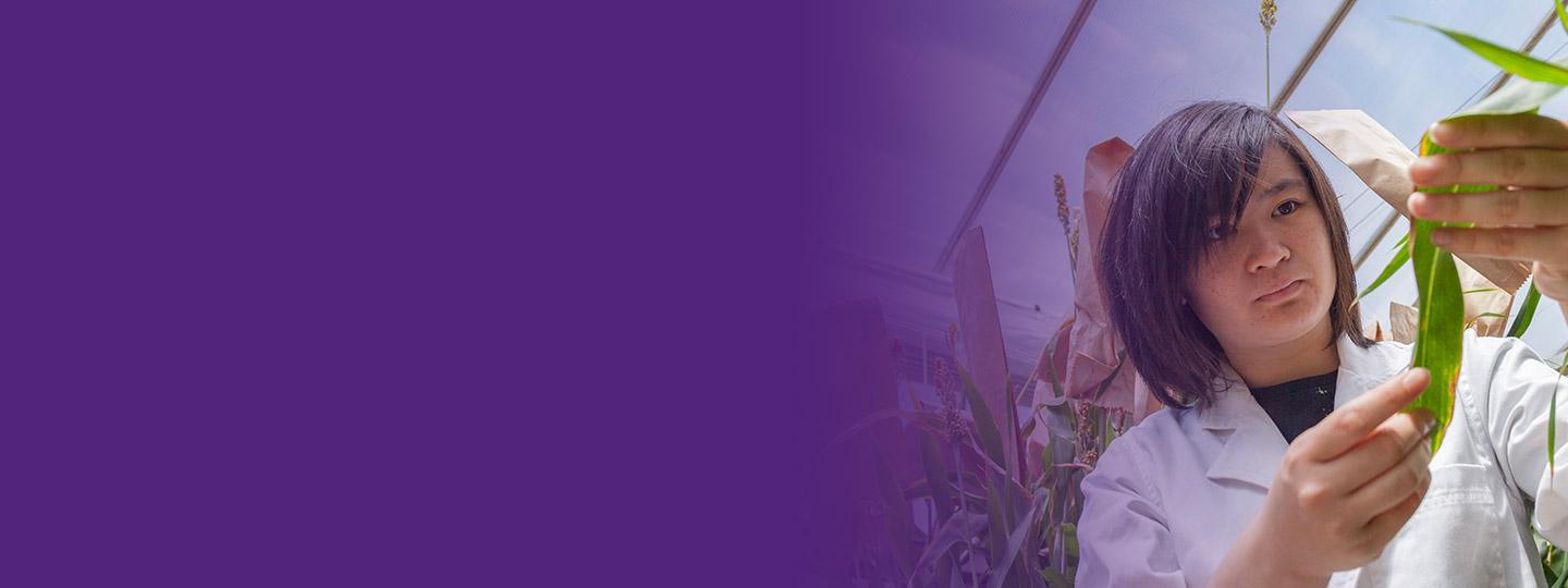 Banner only